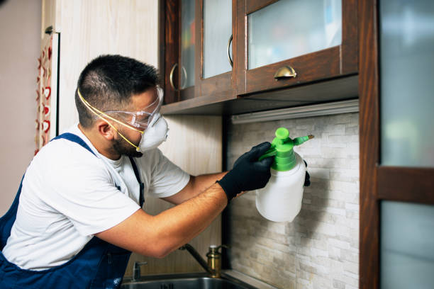 Best Pest Control for Homes  in Sheldon, IL
