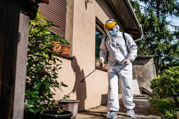 Best Wasp Removal Services  in Sheldon, IL