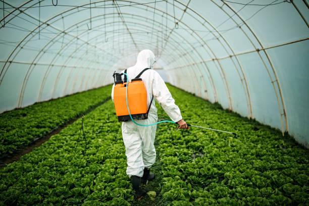 Best Emergency Pest Control  in Sheldon, IL