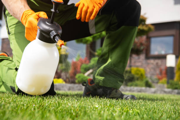 Best Affordable Exterminators  in Sheldon, IL
