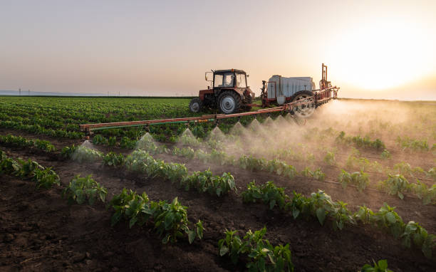 Best Pest Removal Services  in Sheldon, IL