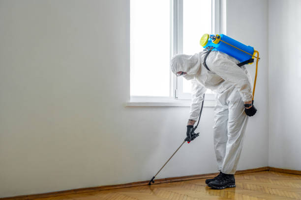Trusted Sheldon, IL Pest Control Experts