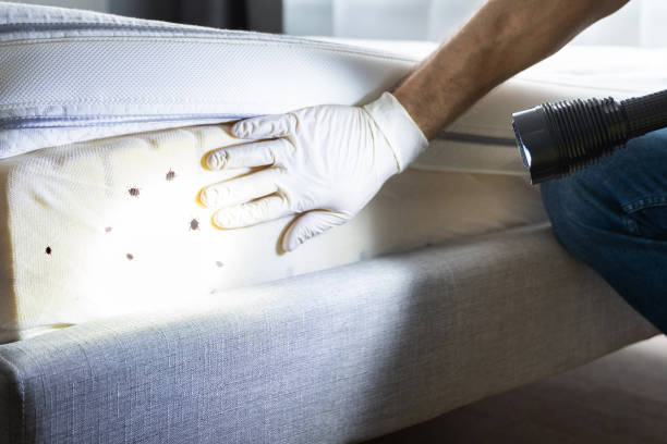 Trusted Sheldon, IL Pest Control Experts