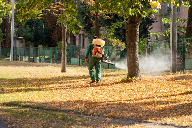 Best Pest Inspection Near Me  in Sheldon, IL