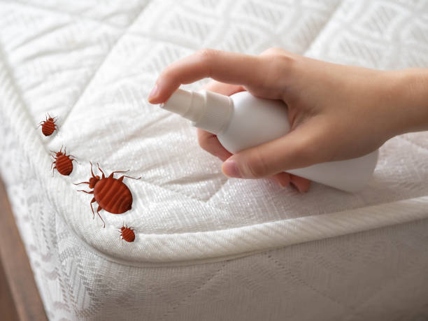 Best Residential Pest Control  in Sheldon, IL