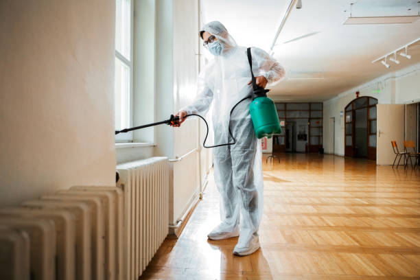 Best Flea Control Services  in Sheldon, IL