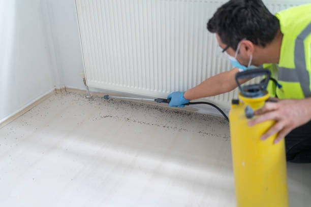 Best Rat Extermination Near Me  in Sheldon, IL