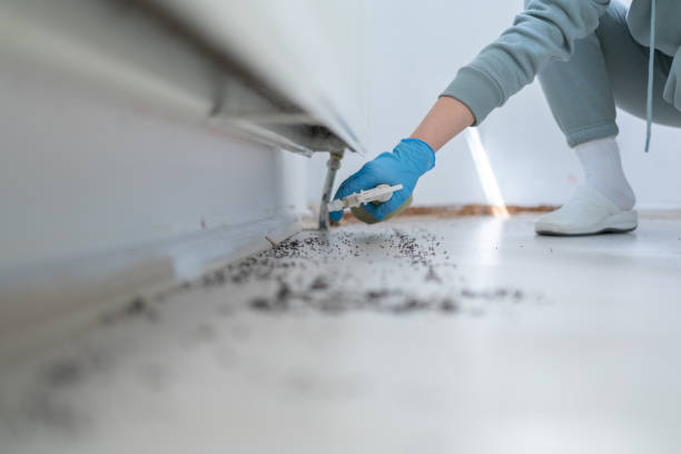 Best Wildlife Control Services  in Sheldon, IL