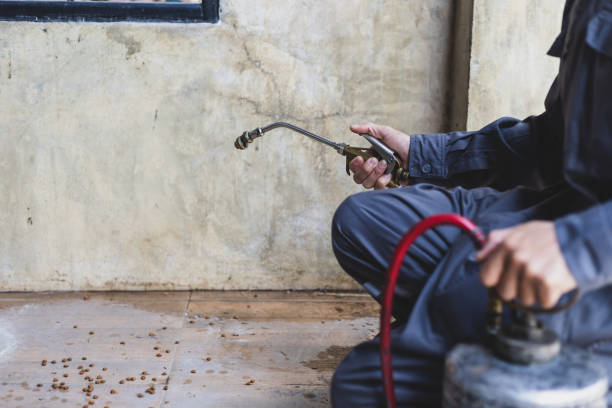 Best Wasp Removal Services  in Sheldon, IL
