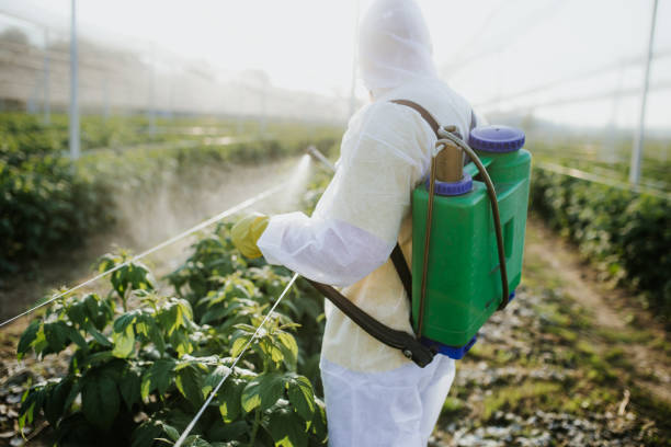 Best Mosquito Control Services  in Sheldon, IL
